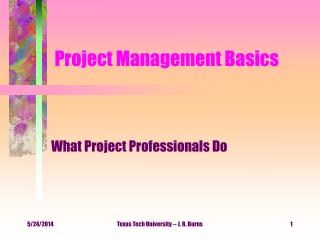Project Management Basics