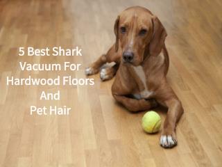 5 Best Shark Vacuum for Hardwood Floors and Pet Hair
