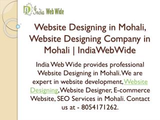Website Designing in Mohali, Website Designing Company in Mohali | IndiaWebWide