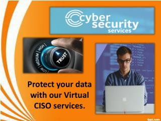 Avail the finest Virtual CISO Services