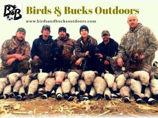 Colorado Goose Hunting Guides