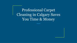 Professional Carpet Cleaning in Calgary Saves You Time & Money