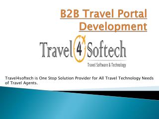 B2B/B2C Travel Portal Development