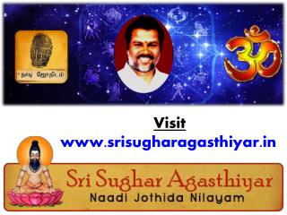 Best Nadi Astrologer in Chennai