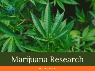 Advanced Marijuana Research and Cannabis Research | MJ Buddy