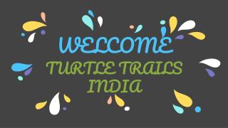 Spiritual Trip to India | Turtle Trails