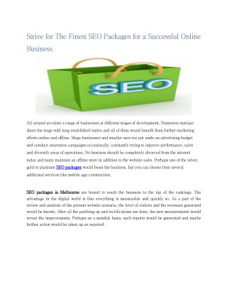 Strive for The Finest SEO Packages for a Successful Online Business