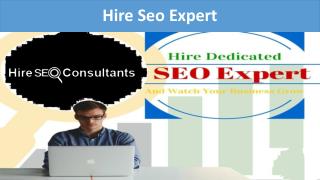 Hire Seo Expert