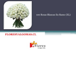 100 Rosas Blancas En Ramo (XL) - Floresyalgomas Chile