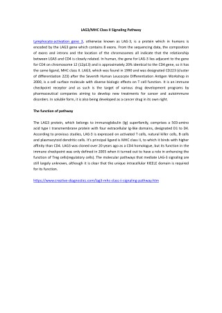 LAG3/MHC Class II Signaling Pathway