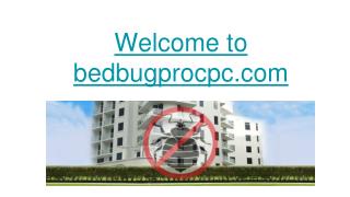Residential Bed Bug Inspections San Francisco CA, Bed Bugs Redwood City CA, Bed Bug Exterminator Redwood City CA