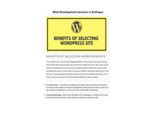 Web Development Services Kolhapur