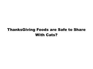 Thanksgiving Food For Cats