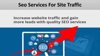 Seo Services For Site Traffic