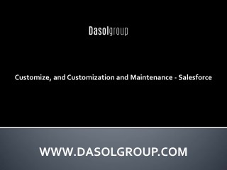 Customize, and Customization and Maintenance - Salesforce