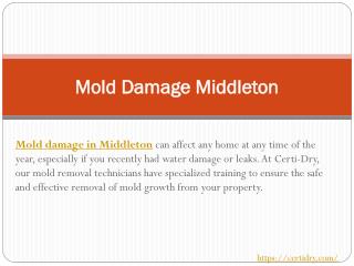Mold Damage Middleton