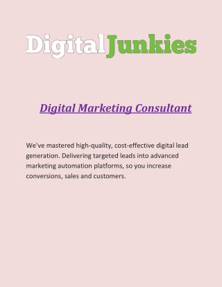 Digital Marketing Consultant - Digital Junkies