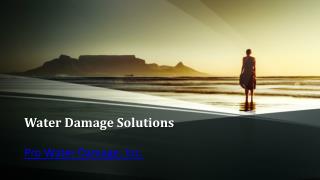 Water Damage Solutions