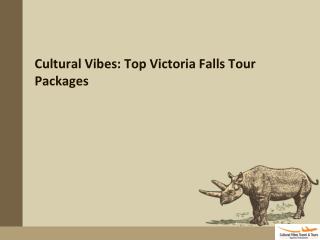 Cultural Vibes Top Victoria Falls Tour Packages