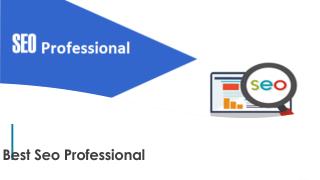 Hire Seo Professional