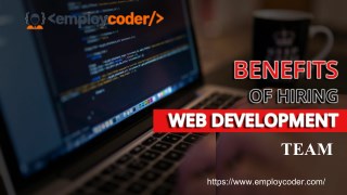 BENEFITS OF HIRING A WEB APPLICATION DEVELOPMENT TEAM