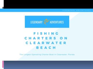 Fishing charters on clearwater beach