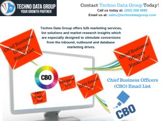 CBO Email Lists | CBO Mailing Lists | CBO Email Database