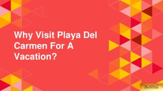 Why Visit Playa Del Carmen For A Vacation?