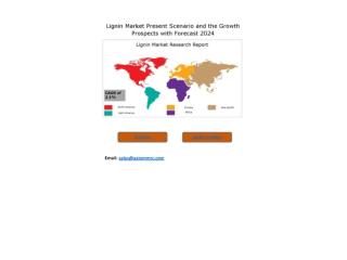 Lignin Market Outlook 2018 Globally, Geographical Segmentation, Industry Size & Share, Comprehensive Analysis to 2024