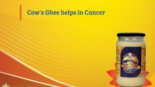 COW’S GHEE HELPS IN CANCER
