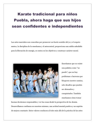 Clases de karate tradicional para adultos puebla