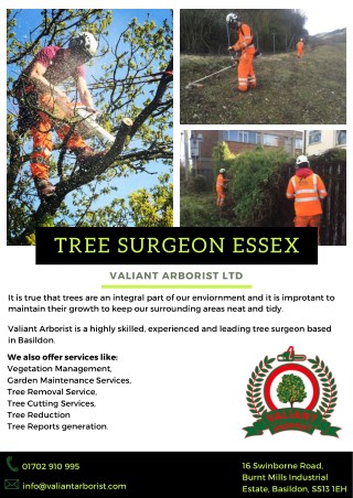 Tree Surgeon Essex | Valiant Arborist Ltd