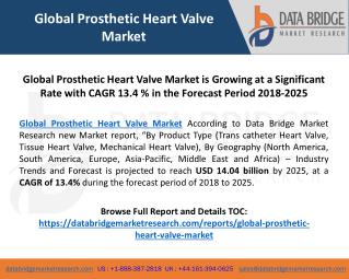 Global Prosthetic Heart Valve Market is Growing at a Significant Rate in the Forecast Period 2018-2025