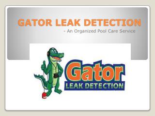 Gator Leak Detection- An Organized Pool Care Service