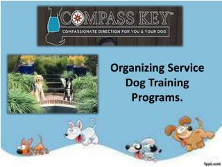 Service dog training programs