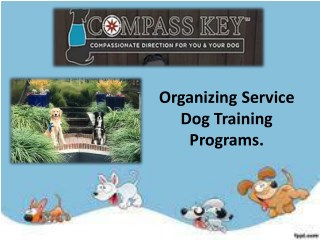 How to train a dog to be a service dog