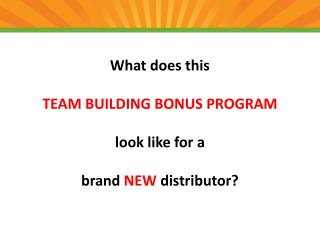 What does this TEAM BUILDING BONUS PROGRAM look like for a brand NEW distributor?