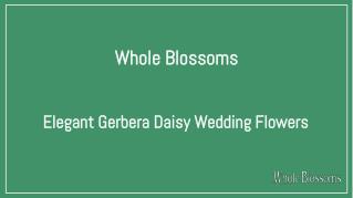 Get Beautiful Gerbera Daisy Colors for Wedding