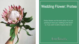 Use Protea Flower Arrangements on Your Special Day