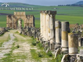 Meknes Volubilis Moulay Idriss Day Trip