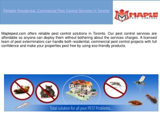 Pest Control In Toronto