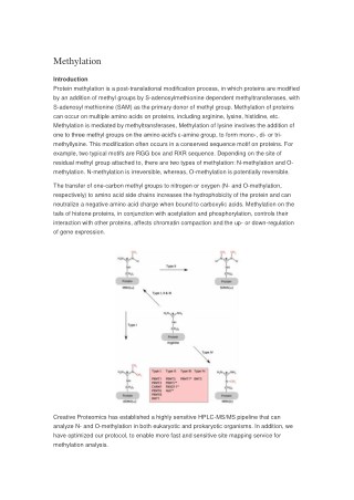 Overview of Post-translational Modification Analysis