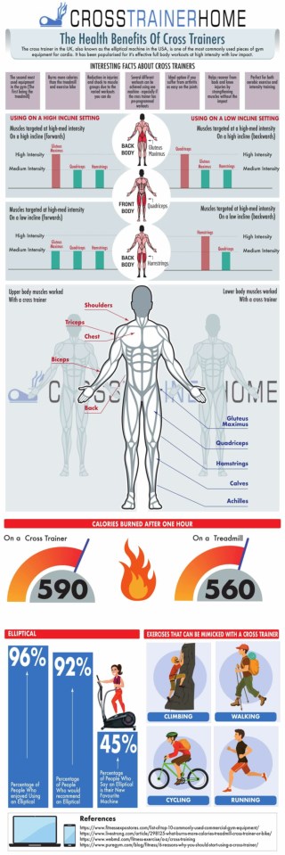 Cross Trainer Infographic