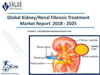 Kidney/Renal Fibrosis Treatment Market Till 2025 Research Report | Value Market Research