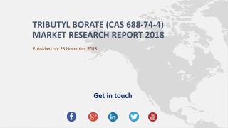 Tributyl Borate (CAS 688-74-4) Market Research Report 2018