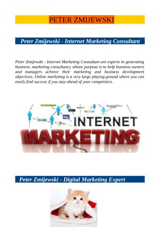 Peter Zmijewski - Internet Marketing Consultant
