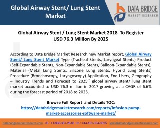 Global Airway Stent / Lung Stent Market 2018 To Register USD 76.3 Million By 2025