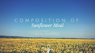 Information on the Composition of Sunflower Doc or Meal