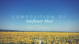 Information on the Composition of Sunflower Doc or Meal