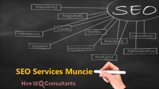 Hire SEO Consultants SEO Services Muncie for better website ranking